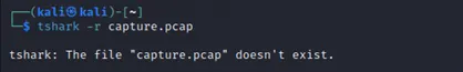 Tshark pcap okuma